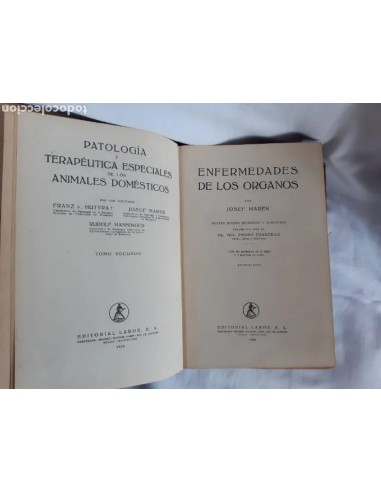 PATOLOGIA Y TERAPEUTICA ESPECIALES DE...