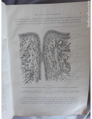 TRATADO COMPLETO DE OBSTETRICIA por...