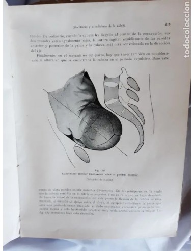 TRATADO COMPLETO DE OBSTETRICIA por...